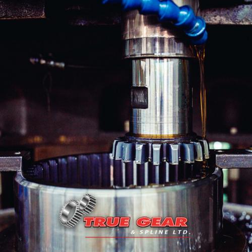 Choosing the Right Gear Coupling for Canadian Industrial Needs